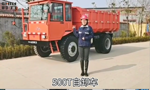 載重15噸礦用四不像車(chē)視頻介紹[全封閉車(chē)棚]